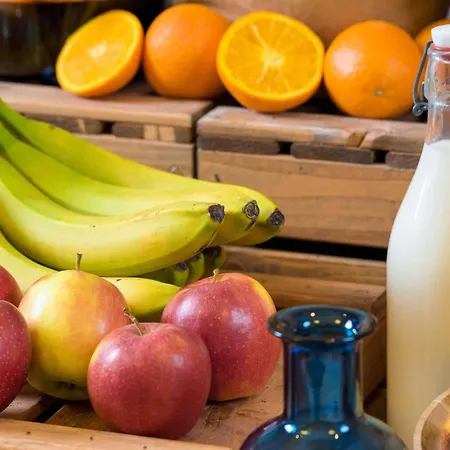 巴黎戴高乐机场北2号宜必思快捷酒店 酒店